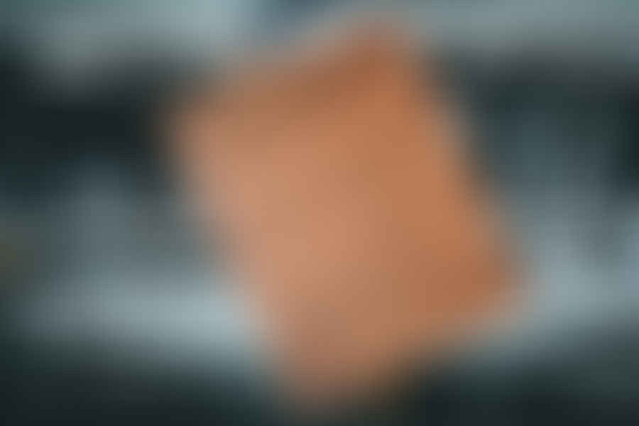 Report stolen firearm form
