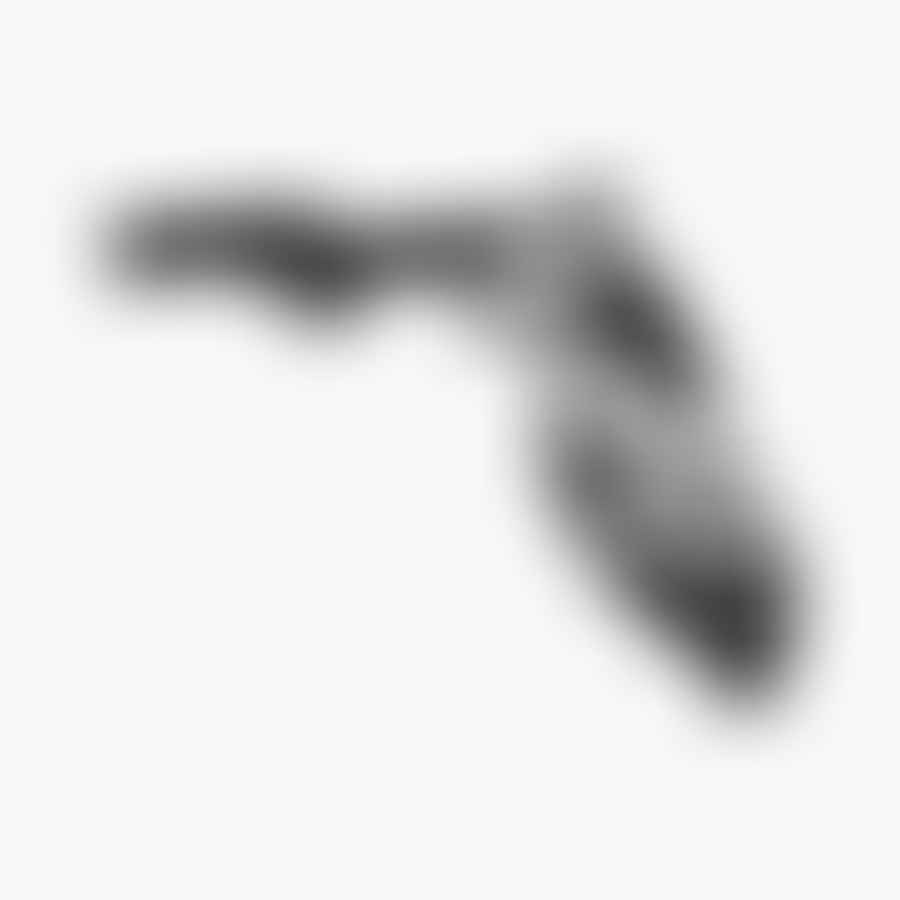 Mississippi State outline with a symbolic gun image